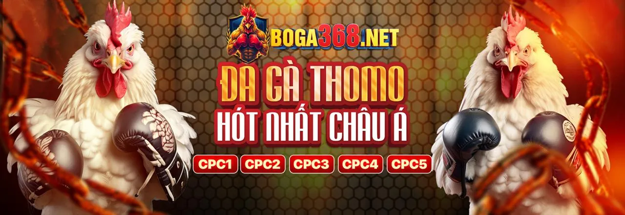 Đa dạng các môn thể thao tại ebet Casino